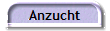 Anzucht