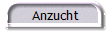 Anzucht