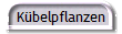 K�belpflanzen